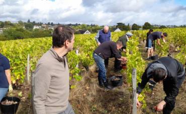 Les vendanges 2020 sont terminées !