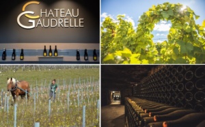 Chateau Gaudrelle images