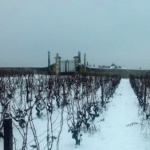 Clos le Vigneau Hiver 2013