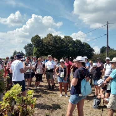 Vignes Vins Randos 2021