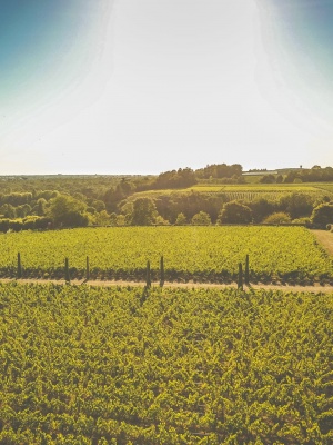 Vue aérienne du Clos Vigneau Vue domaine viticole Vouvray en Loire, à visiter en œnotourisme